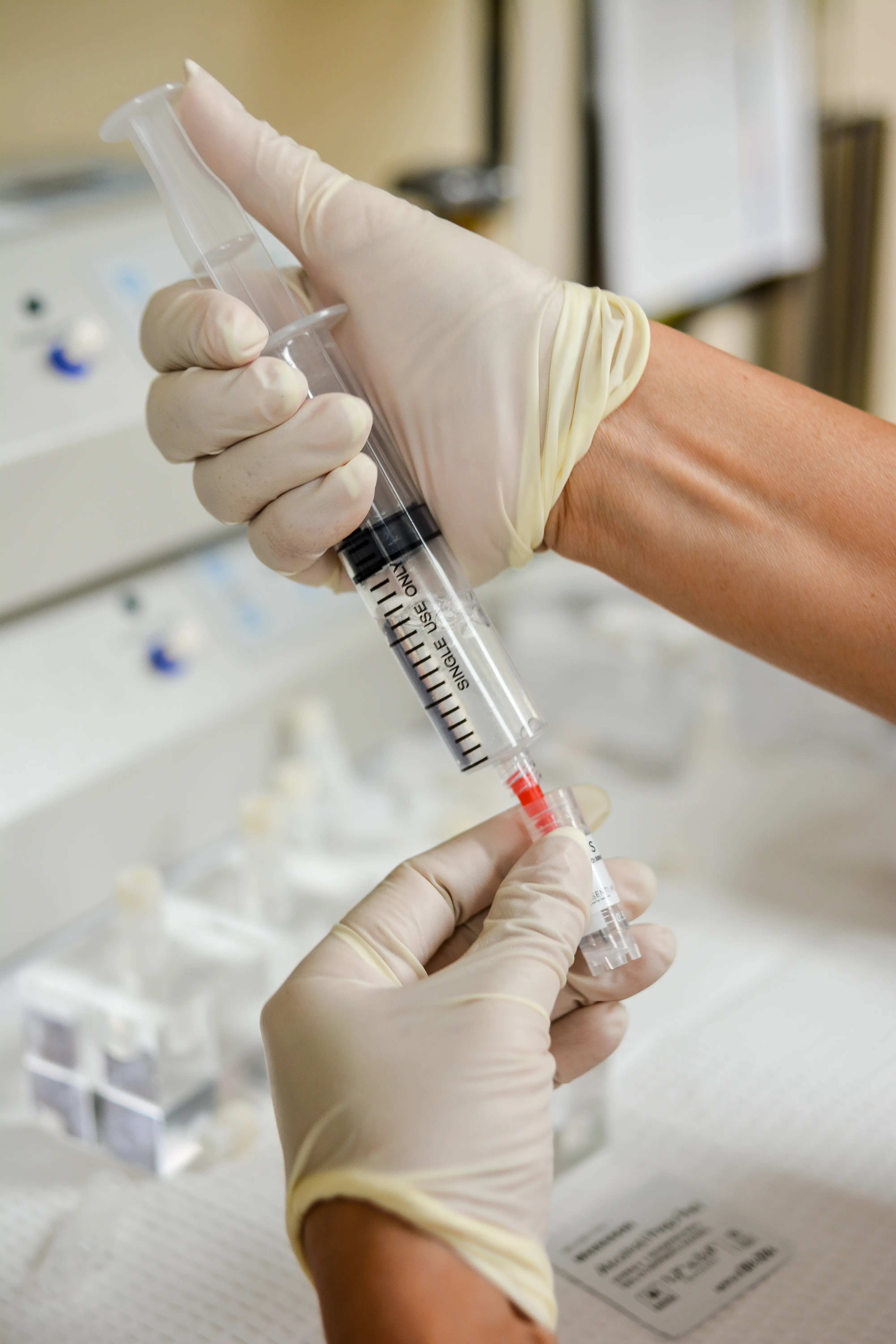 Células Madre